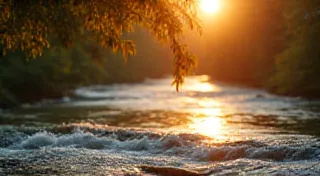 River Tongue: How Water Shapes Appalachian Vernacular